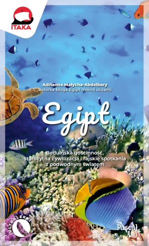Egipt - Adrianna Małycha-Abdelbary - książka