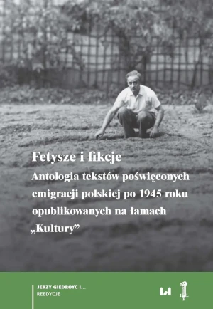 Fetysze i fikcje - praca zbiorowa - książka