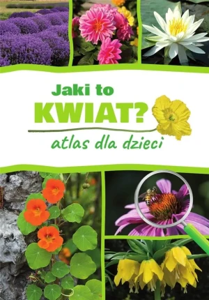 Jaki to kwiat? Atlas dla dzieci - Agnieszka Gawłowska, Małgorzata Mederska - książka