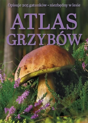 Atlas grzybów - praca zbiorowa - książka