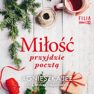Miłość przyjdzie pocztą - Agnieszka Jeż - książka