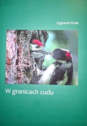 W granicach cudu - Zygmunt Ficek - książka