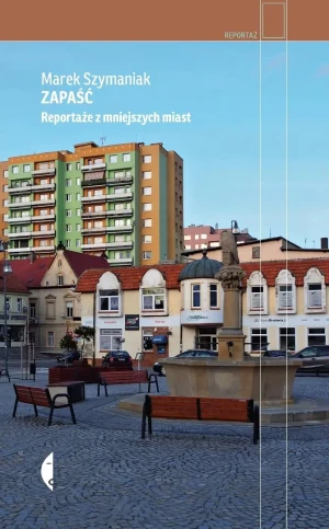 Zapaść. Reportaże z mniejszych miast - Marek Szymaniak - książka