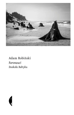 Faronauci. Dookoła Bałtyku - Adam Robiński - książka