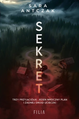 Sekret - Sara Antczak - książka