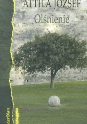 Olśnienie -  - książka