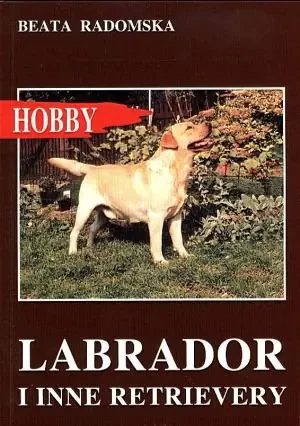 Labrador i inne retrievery - Radomska Beata - książka