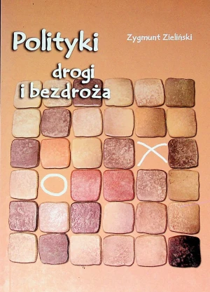 Polityki drogi i bezdroża -  - książka