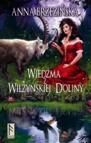 Wiedźma z Wilżyńskiej Doliny - Brzezińska Anna - książka