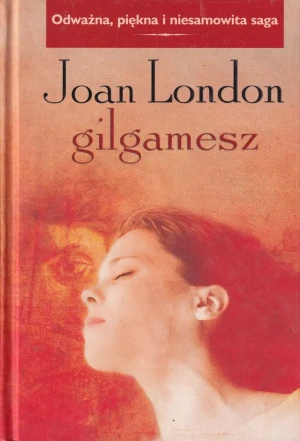 Gilgamesz - London Joan - książka