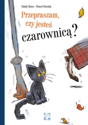 Przepraszam, czy jesteś czarownicą? - Paweł Pawlak - książka