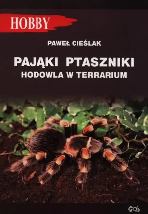MDM Między Utopią a Codziennością - Paweł Cieślak - książka