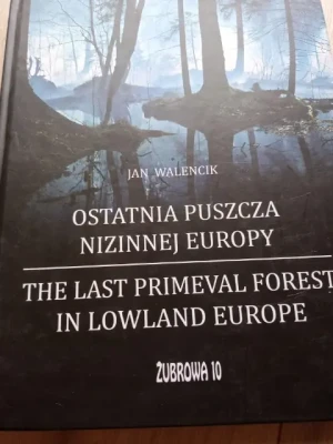 Ostatnia puszcza nizinnej Europy - Walencik - książka