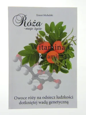 Róża - moje życie - Michalski Ernest - książka