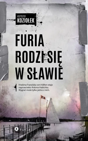 Furia rodzi się w sławie - Krzysztof Koziołek - książka