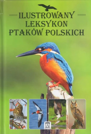 Nad Niemnem. Wydanie kolekcjonerskie - Dominik Marchowski - książka