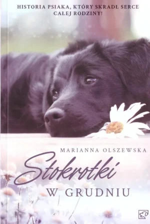 Stokrotki w grudniu - Marianna Olszewska - książka