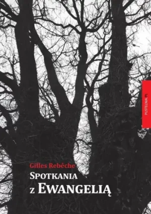 Spotkania z Ewangelią - Gilles Rebêche - książka