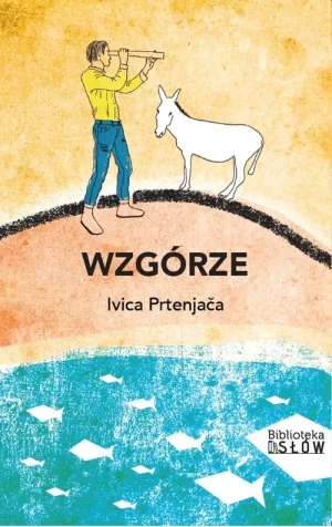 Wzgórze - Ivica Prtenjaca - książka