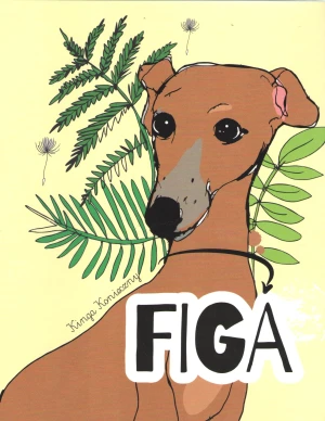 Figa - Kinga Konieczny - książka