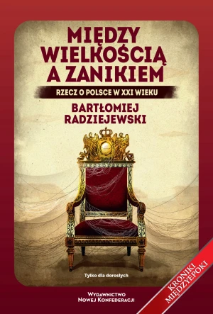 Między wielkością a zanikiem. Rzecz o Polsce w XXI wieku - Bartłomiej Radziejewski - książka