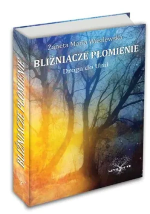 Bliźniacze Płomienie - Żaneta Maria Wasilewska - książka