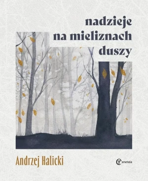 Nadzieje na mieliznach duszy - Andrzej Halicki - książka