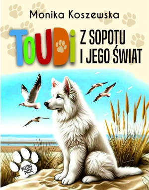 Toudi z Sopotu i jego świat - Monika Koszewska - książka