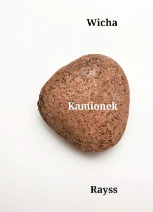 Kamionek - Agnieszka Rayss - książka