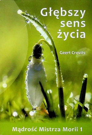 Głębszy sens życia - Opracowanie zbiorowe - książka