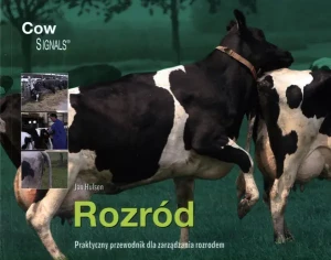 Rozród - Praktyczny przewodnik zarządzania rozrodem - Jan Hulsen - książka