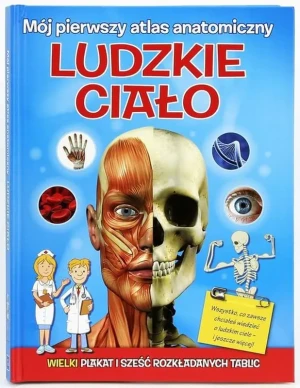 Mój pierwszy atlas anatomiczny. Ludzkie ciało - Gibson Bond Jeremy - książka