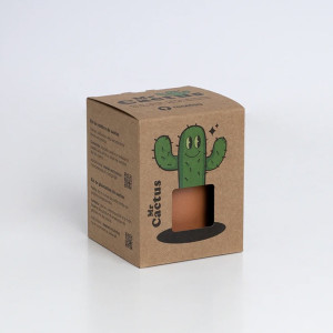 Resetea Zestaw do uprawy kaktusa Mr Cactus Resetea 