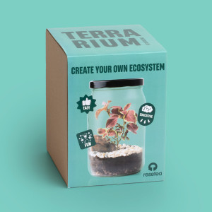Resetea Terrarium w słoiku Resetea 