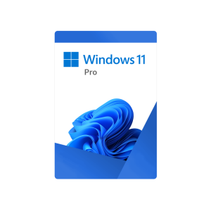 Microsoft Windows 11 Professional