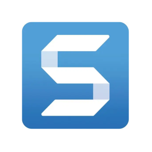 TechSmith Snagit 2025 - licencja na 12 miesięcy