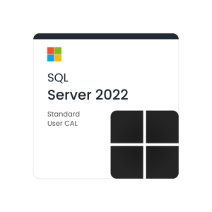 Microsoft SQL Server 2022 Standard - 1 User CAL