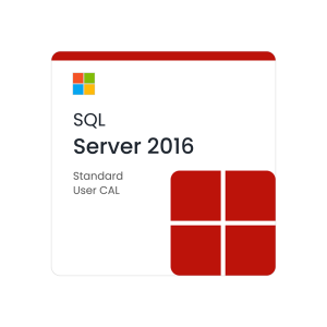 Microsoft SQL Server 2016 Standard - 1 User CAL