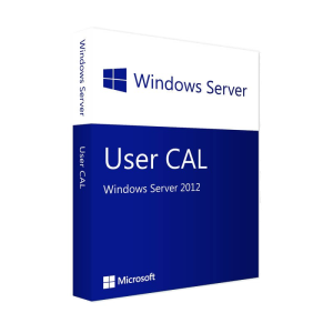 Microsoft Windows Server 2012 - 1 User CAL