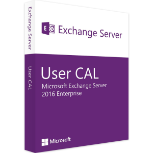 Microsoft Exchange Server 2016 Enterprise - 1 User CAL