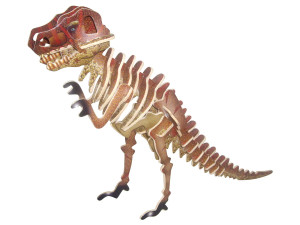 Dinozaur Tyrannosaurus składanka
