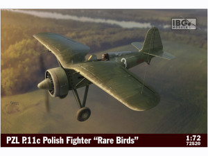 Samolot PZL P.11c Rare Birds