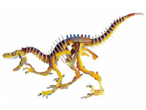 Dinozaur Velociraptor składanka drewniana
