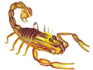 Skorpion składanka drewniana