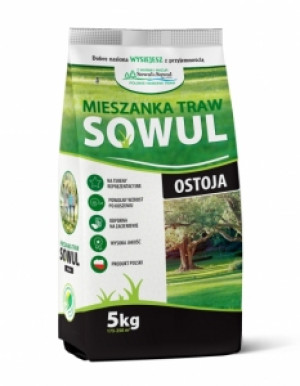 Mieszanka traw ostoja 5 kg