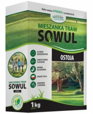 Mieszanka traw ostoja 1 kg
