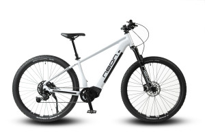 Rower Neon Pulse 1.0 gray