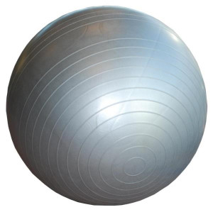 Sportsmaster Gymball 65 cm m/pumpe