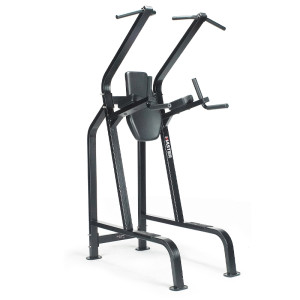 Lexco Master LF210 Chin /Dip/Leg Raise