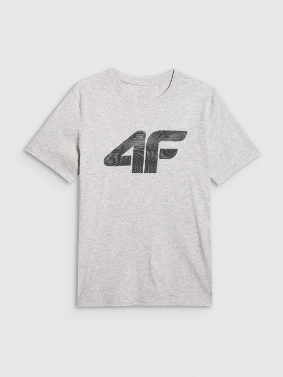 Męski t-shirt z nadrukiem 4F 4FRMM00TTSHM3251 - szary